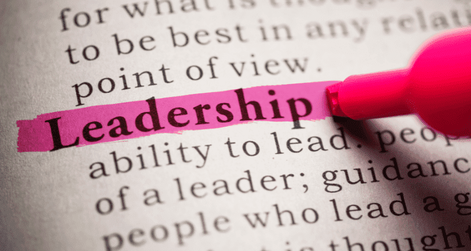 Principal Investigator as a leader